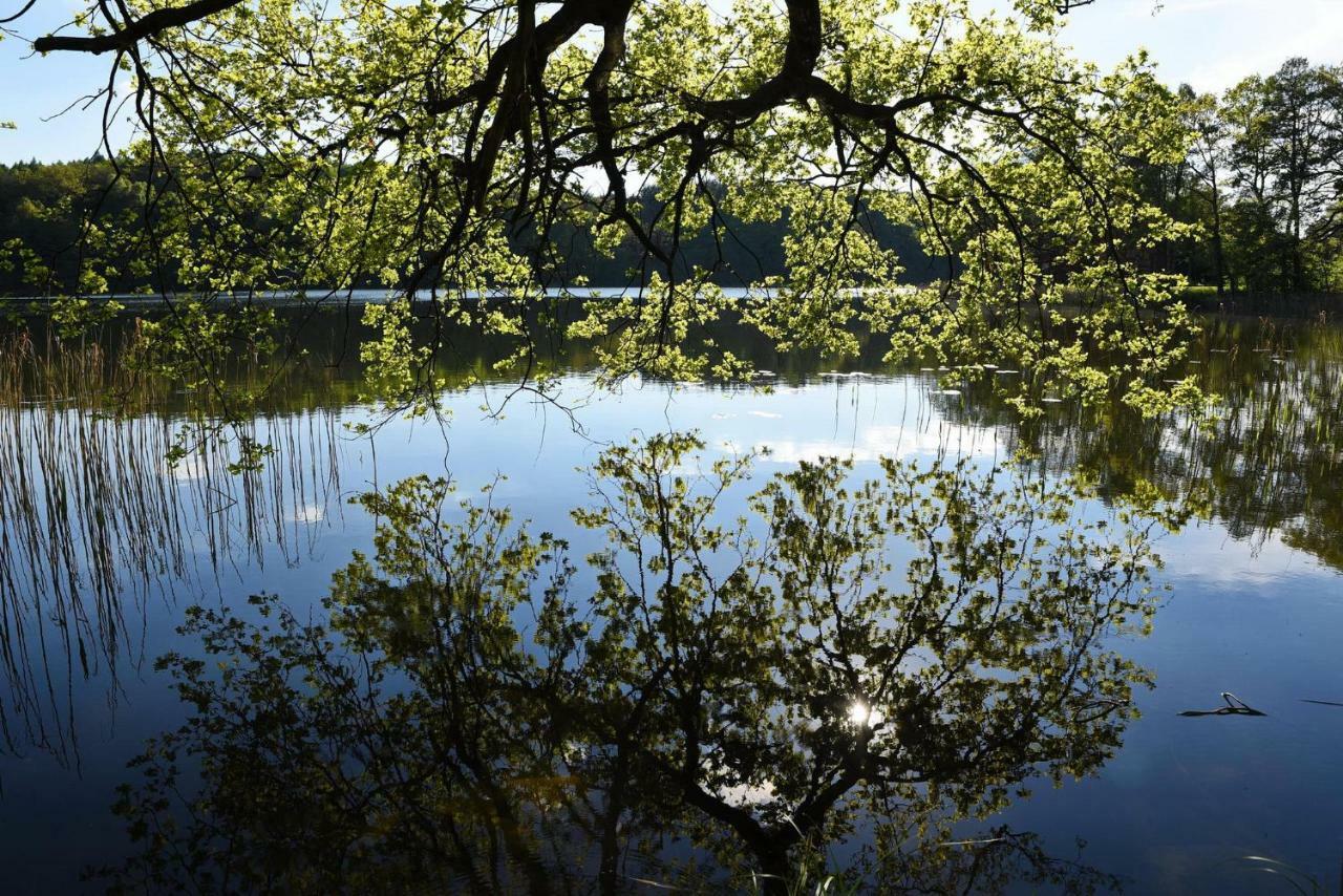 Seehaus Hartwigsdorf Klein Vielen Bagian luar foto